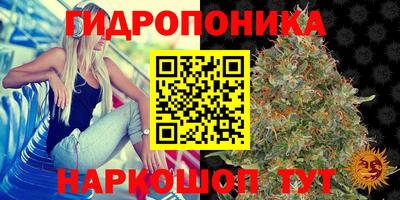 a pvp Беслан